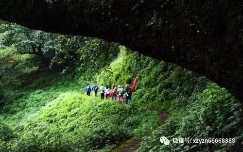 我在大连周水子机场不小心开进了出租车接客的道上，我没停直接开出去了，这样算交通违规么?